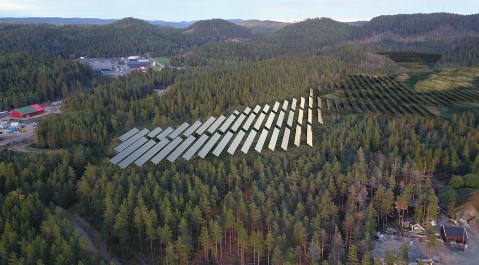 Illustrasjon av Birkeland solkraftverk som krever rydding av skog for etablering av anlegget. Illustrasjon: Birkeland Solpark