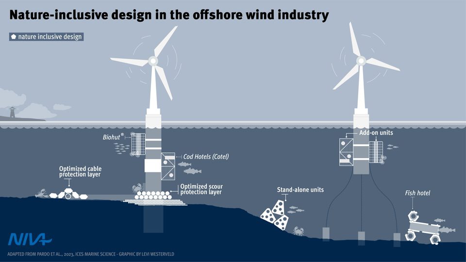 En illustrasjon fra NiD4Ocean prosjektet med eksempler på naturinkluderende design i havvindindustrien
Tilpasset fra Pardo et al., 2023. ICES Marine Science. Grafikk: Levi Westerveld, rettigheter: NIVA